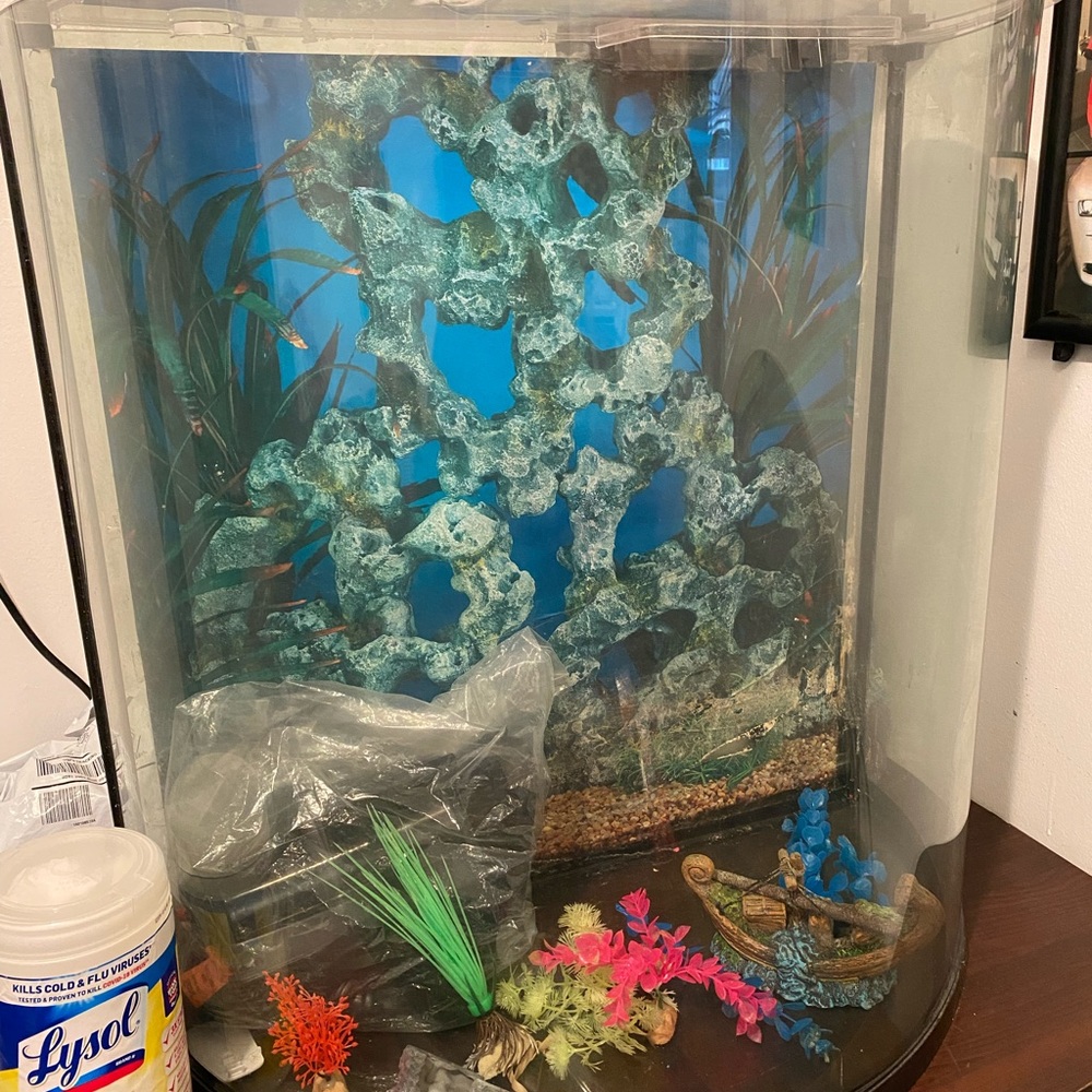 Half moon shaped fish tank & accessories